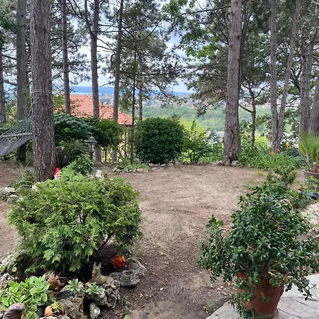Kospela Tatil Evi *